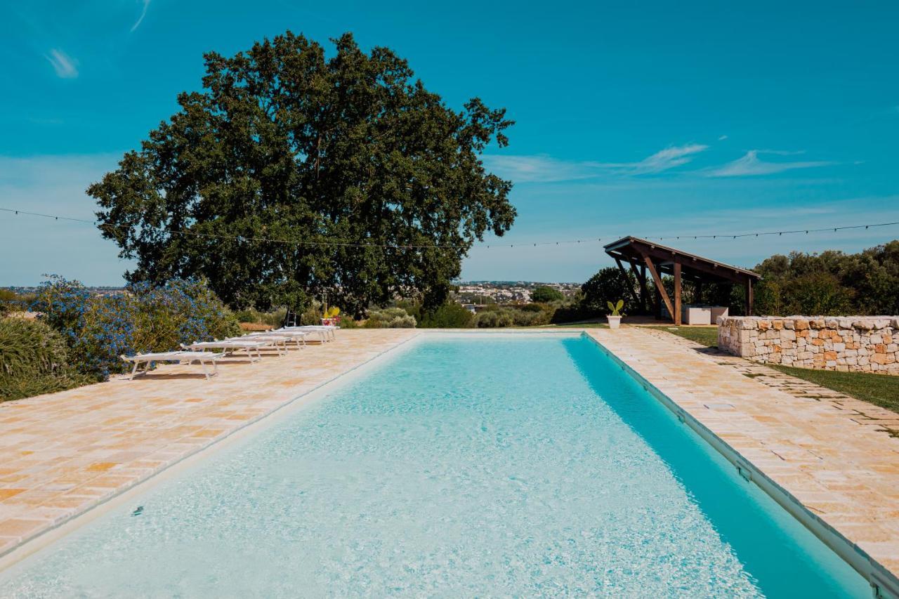 Trulli Paparale ألبيروبيللو المظهر الخارجي الصورة