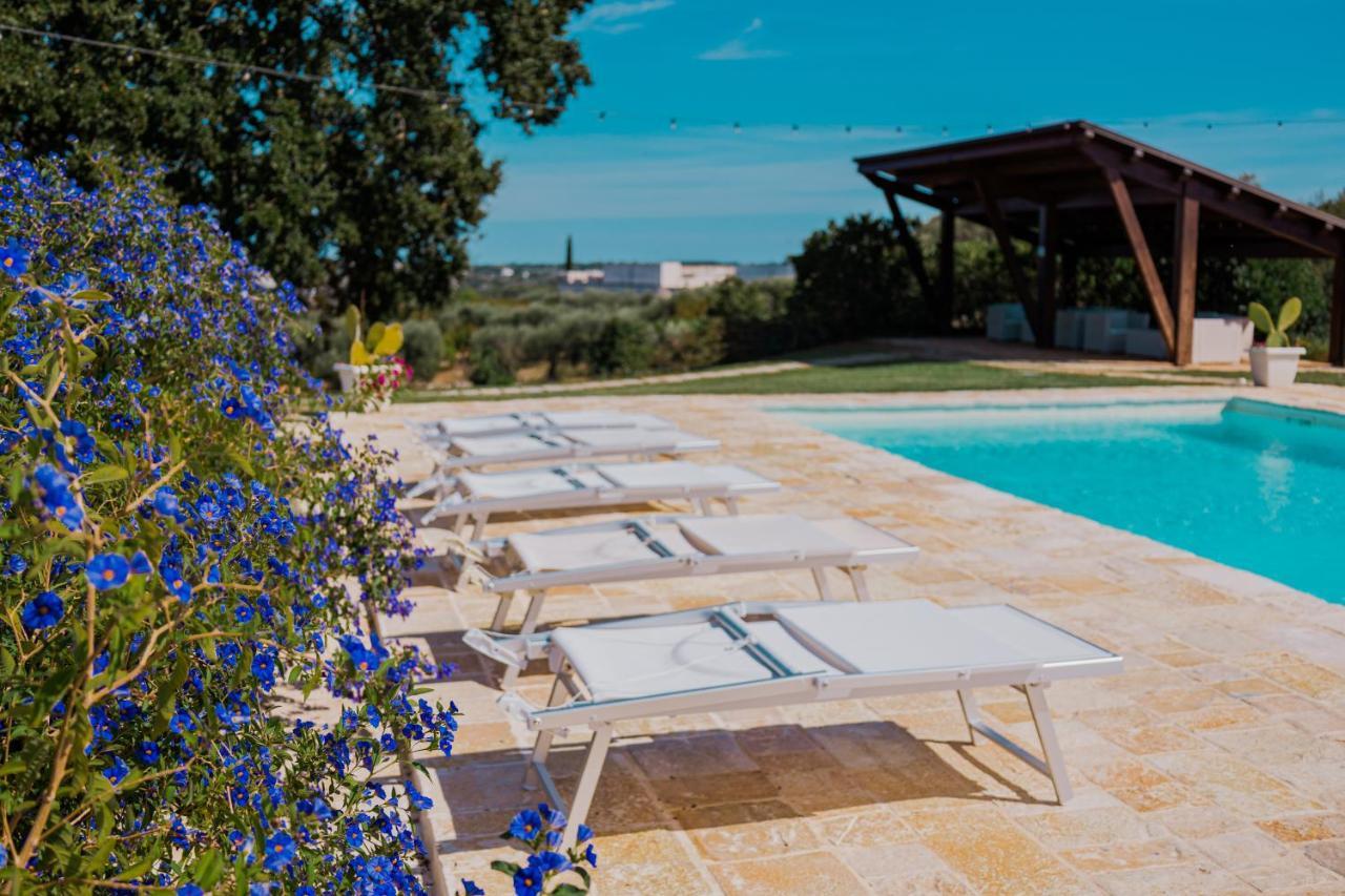 Trulli Paparale ألبيروبيللو المظهر الخارجي الصورة