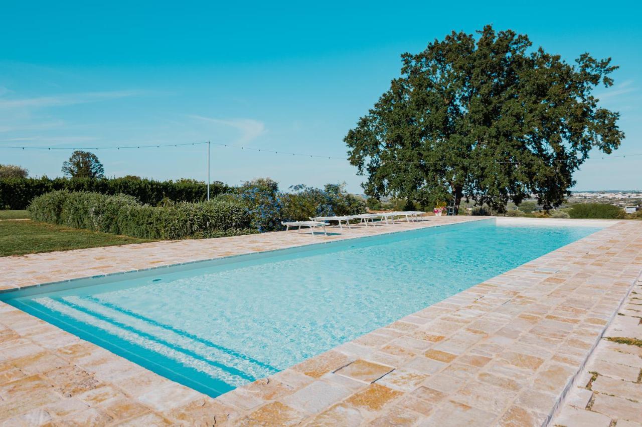 Trulli Paparale ألبيروبيللو المظهر الخارجي الصورة